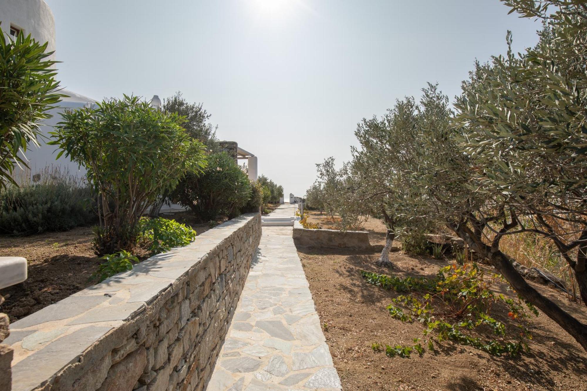 Apostolis Windmill *
